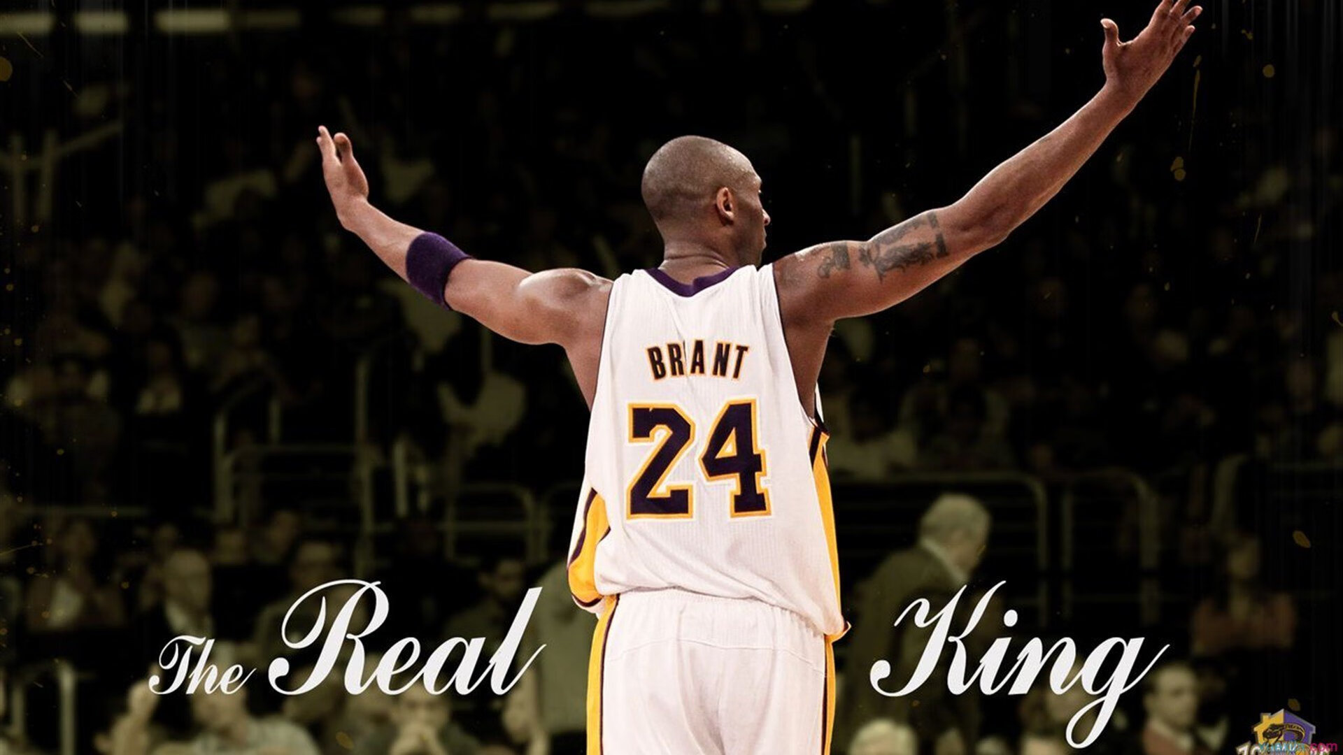 电竞观众弹幕文化演变对赛事氛围影响，弹幕文化调查